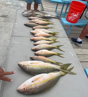 Big catch day in Marathon, FL waters