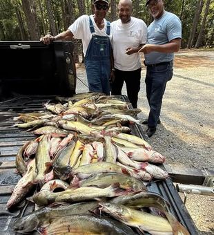 Catfish Haul! -  Lake Martin, AL.