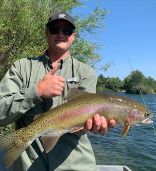 Best Sacramento River Fishing Guide