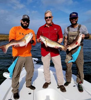 Simple plans, great company.