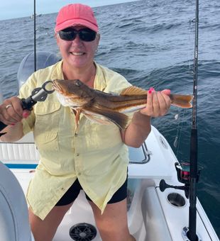 Fishing Sea Robins Fish in SC