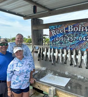 Productive Bolivar Bay trip with solid speckled trout haul! 🐟