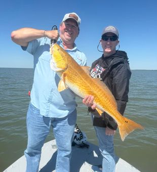 Beautiful Bolivar Peninsula redfish making memories on the water!