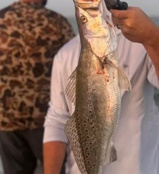 Galveston inshore fishing offers great opportunities for anglers of all skill levels. Book your next trip and make lasting memories on the water.