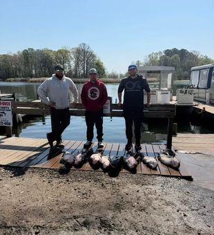 Spend the day chasing trophy fish on the productive lakes of Santee Cooper, South Carolina.