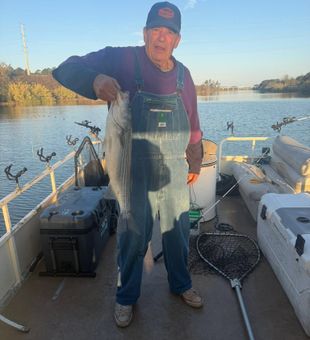 Cast your line into Santee Cooper and discover why it's one of the Southeast's top freshwater fishing destinations.