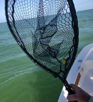 Mastering multiple techniques for the best fishing experience in Marco Island!