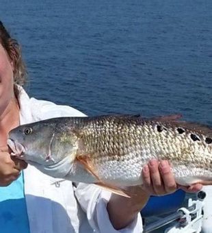 Redfish catch in Santa Rosa Beach Fishing charters