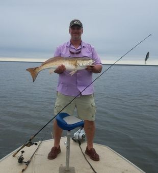 Redfish catch in  Choctawhatchee bay Fishing Trips