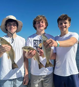 Redfish hiding in Choctawhatchee Bay.
