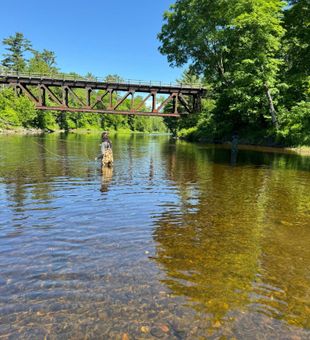 Fly fishing Maine trout stream