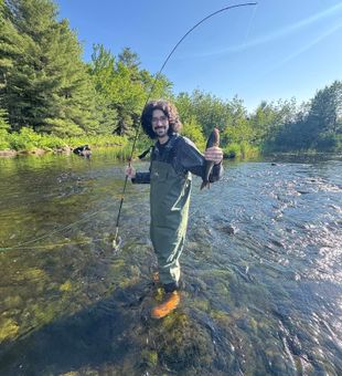 Maine fly angler in action