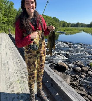 Maine river fly fishing joy