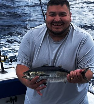 Fresh blackfin tuna from Riviera Beach waters!