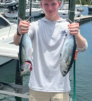 Double blackfin tuna success in Riviera Beach waters!