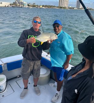 Nice Crevalle Jack from Riviera Beach waters!