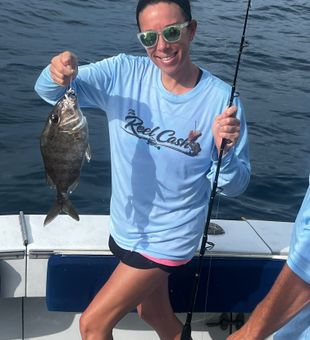Beautiful Jolthead Porgy from Riviera Beach waters!