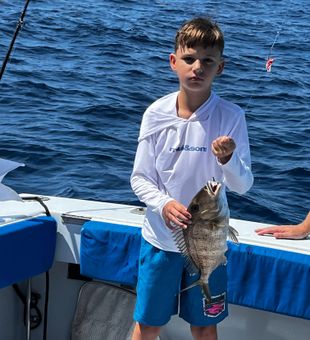 Nice jolthead porgy from Riviera Beach waters!