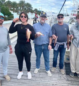 Lane Snapper success in Riviera Beach!