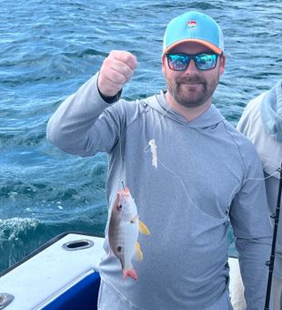 Fresh Lane Snapper from Riviera Beach FL waters!