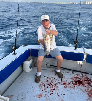 Fresh Little Tunny landed in Riviera Beach waters!