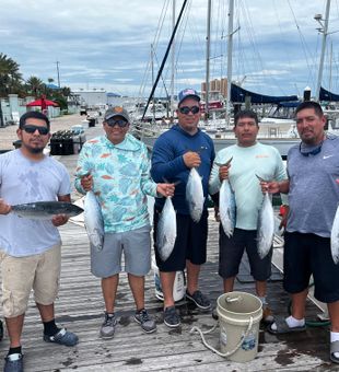 Little Tunny action in Riviera Beach FL!