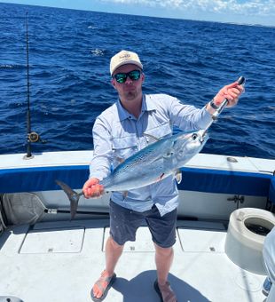 Little Tunny action in Riviera Beach Florida waters!