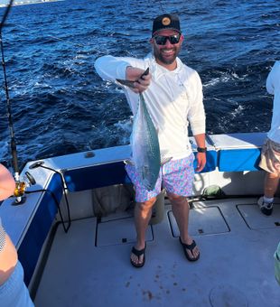 Little tunny success in Riviera Beach waters!