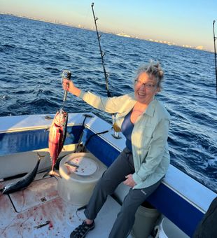Little tunny success on Riviera Beach fishing charter!
