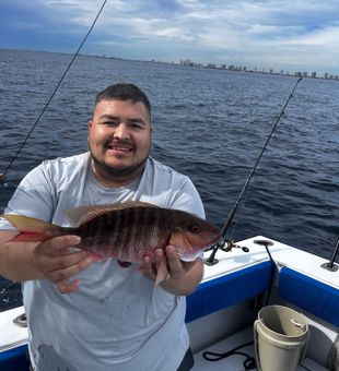 Beautiful mutton snapper from Riviera Beach waters!