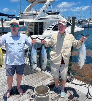 Little Tunny and Mahi Mahi caught in Riviera Beach!