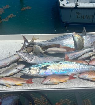 King Mackerel and Lane Snapper highlight Riviera Beach fishing success!