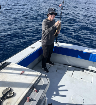 Palm Beach Southern Kingcroaker showing off those beautiful stripes!