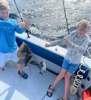 Queen and Grey Triggerfish action in Riviera Beach!