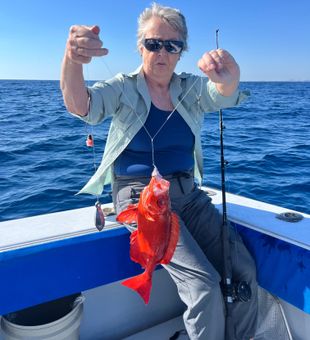Beautiful Vermilion Rockfish caught in Riviera Beach waters!
