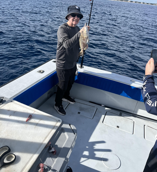 Fresh white grunt caught in Palm Beach waters!