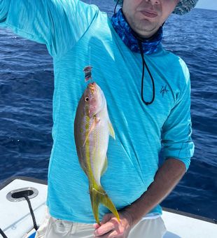 Beautiful yellowfin caught in Riviera Beach waters!