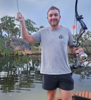 Florida bowfishing • Tilapia catch