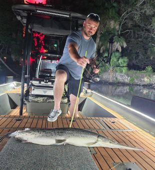 Florida bowfishing • Longnose gar