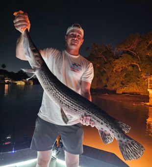 Longnose gar from Tampa waters delivered perfectly!
