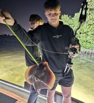 Explore Tampa’s waters on a guided night spearfishing trip.