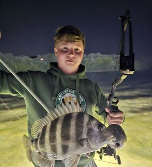 Night spearfishing in Tampa – chase reef fish under the stars.
