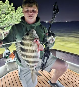Tampa FL night spearfishing adventure – dive for trophy fish after dark.