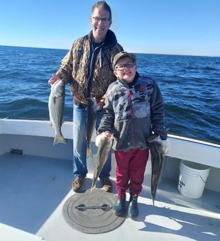 Excellent Striped Bass Fishing