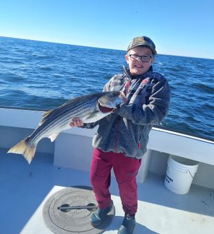 Striped Bass Fishing in the morning!