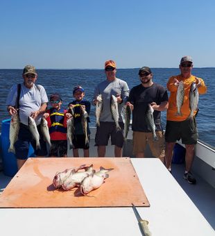 Reel in Adventure Chesapeake Bay, Striped Bass