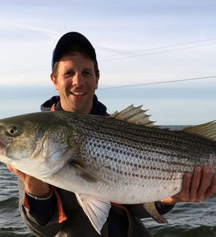 Striped Bass Solid Catch! - Oxford, MD.