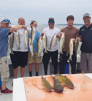 Premier Chesapeake Bay Charter Fishing