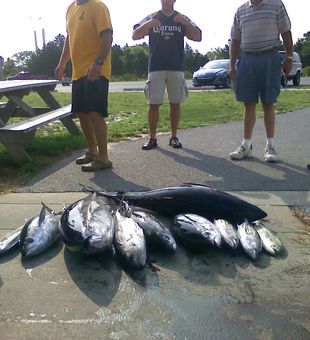Affordable fishing charter for small groups