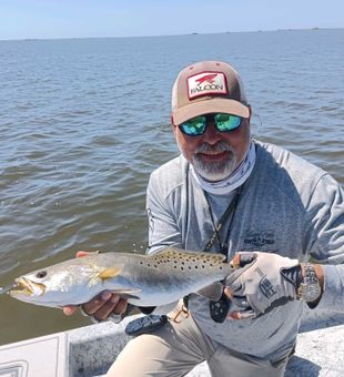 Speckled Trout dart in the water of Steinhatchee!